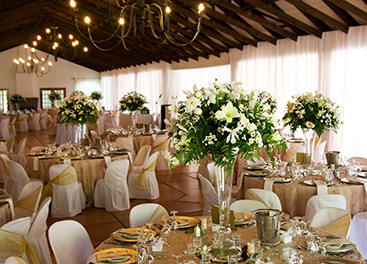 Balloon Decorator in Kolkata